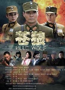 苍狼的演员表,实力派明星齐聚一堂，演绎热血传奇