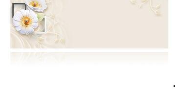 向家到底什么背景,一个传奇家族的崛起与辉煌