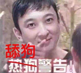 王思聪买车表情包