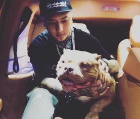 网红老方丈纹身